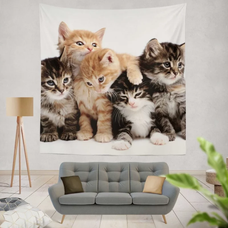 Adorable Kitten Duo Feline Love Wall Hanging Tapestry