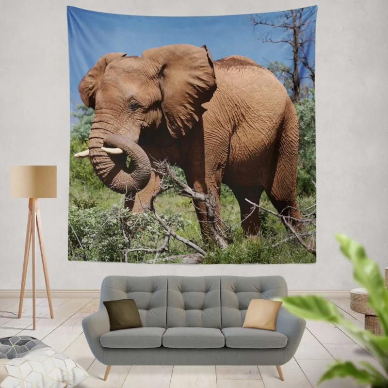 African Elephant in Natural Glory Wall Hanging Tapestry