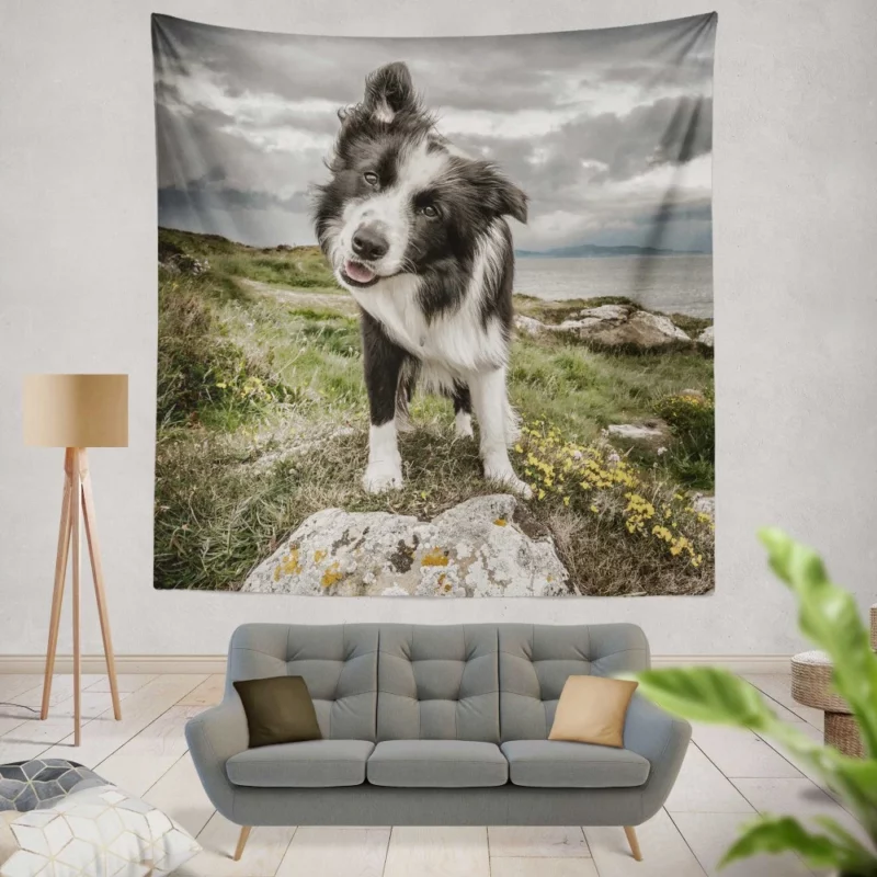 Agile Border Collie Energetic Spirit Wall Hanging Tapestry