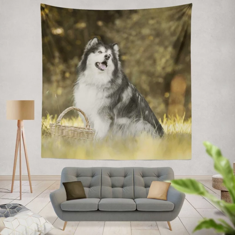 Alaskan Malamute Playful Spirit Wall Hanging Tapestry