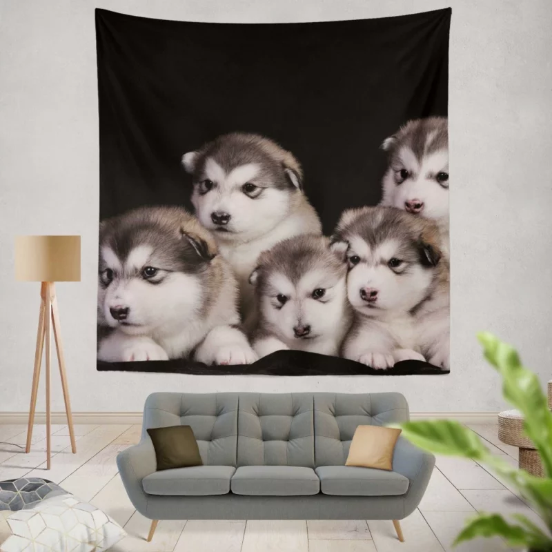 Alaskan Malamute Puppy Captivating Charm Wall Hanging Tapestry