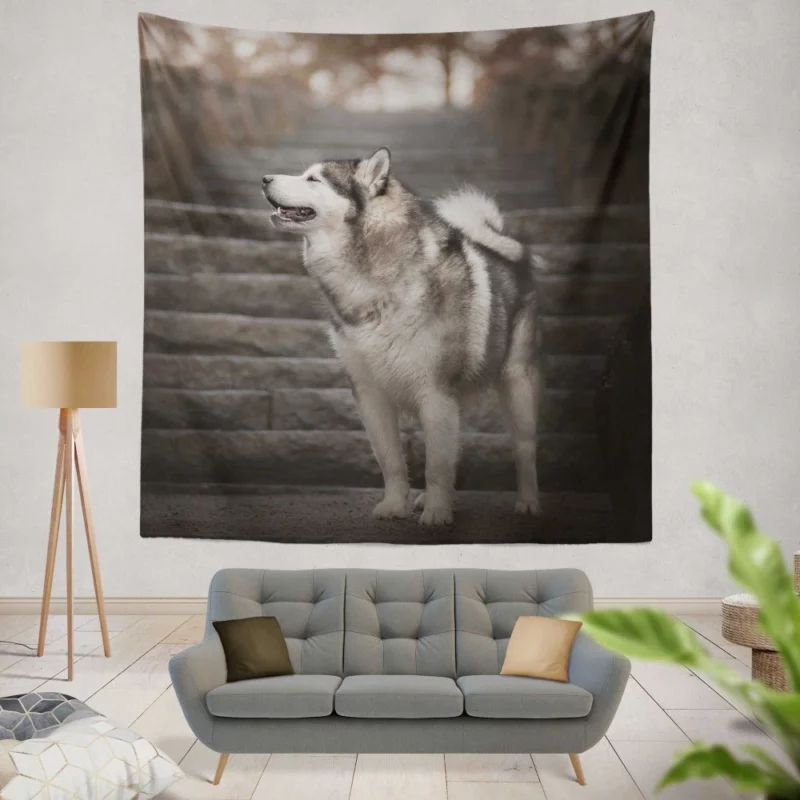 Alaskan Malamute Staircase Sojourn Wall Hanging Tapestry