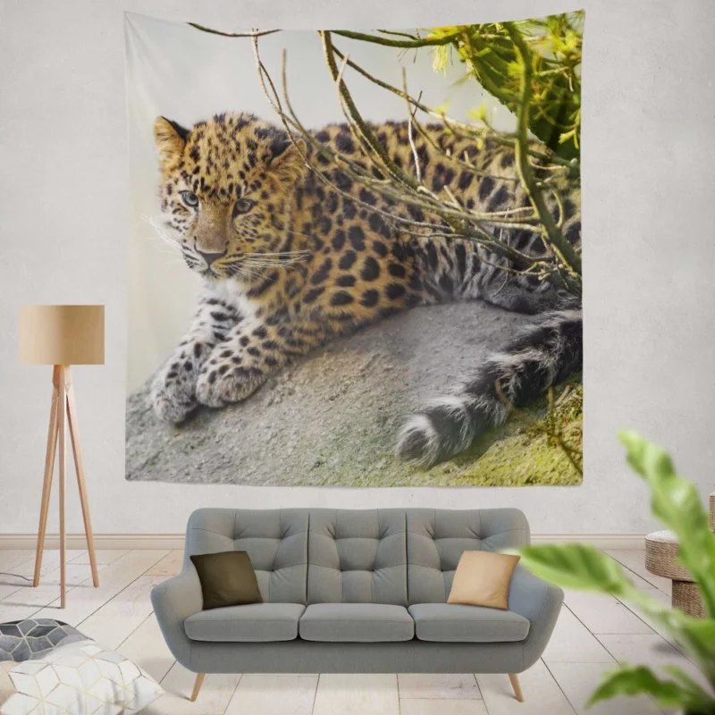 Amur Leopard Regal Stare Elusive Majesty Wall Hanging Tapestry