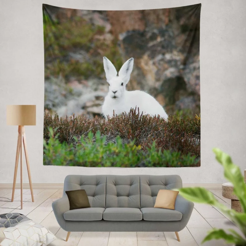 Arctic Hare Amidst Grass Cold Wilderness Wall Hanging Tapestry