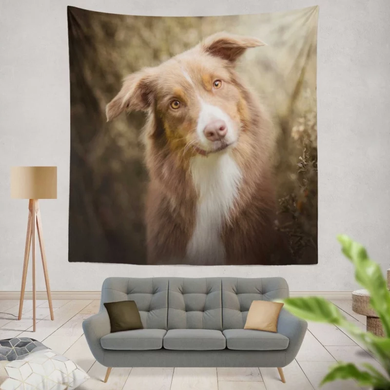 Aussie Shepherd Determination Wall Hanging Tapestry