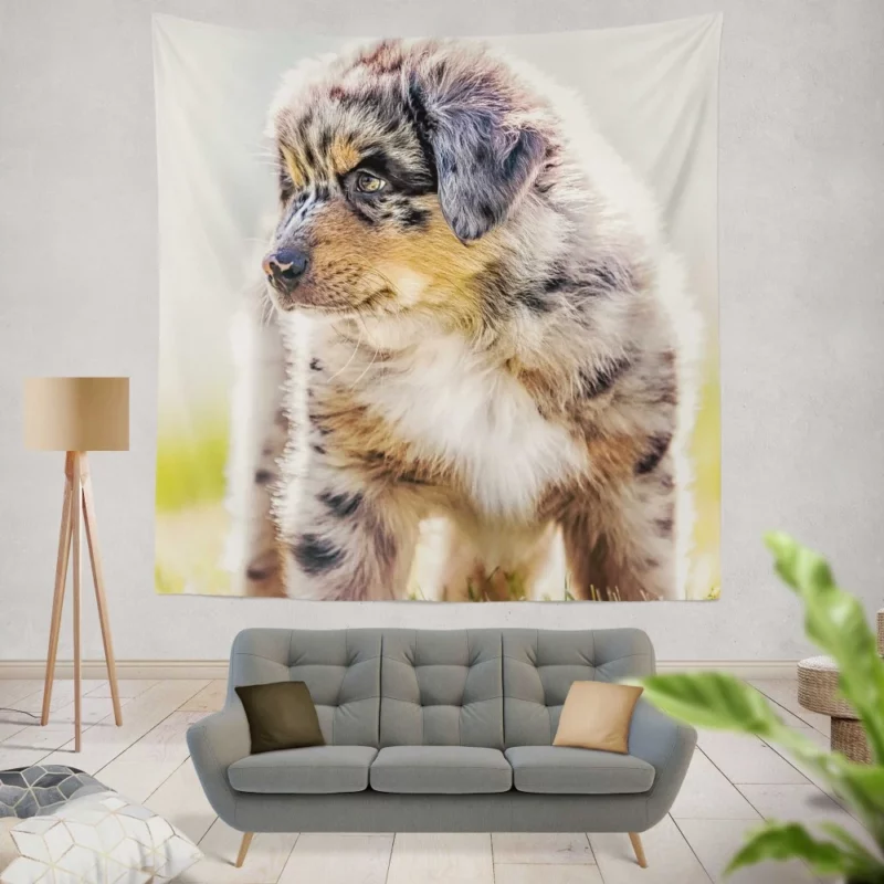 Aussie Shepherd Puppy Adventurous Innocence Wall Hanging Tapestry