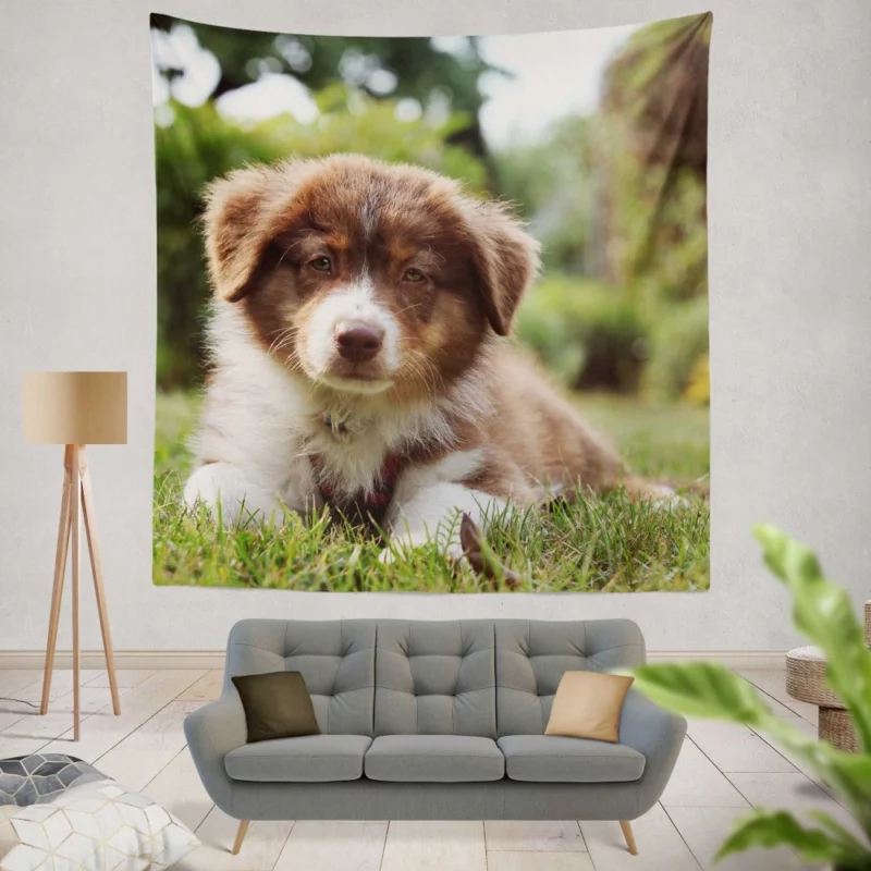 Aussie Shepherd Puppy Bokeh Adventure Wall Hanging Tapestry