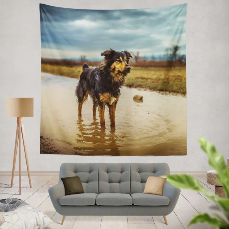 Australian Shepherd Amidst Water Blur Wall Hanging Tapestry