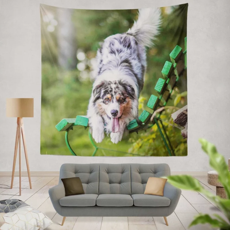 Australian Shepherd Bench Stare Wall Hanging Tapestry