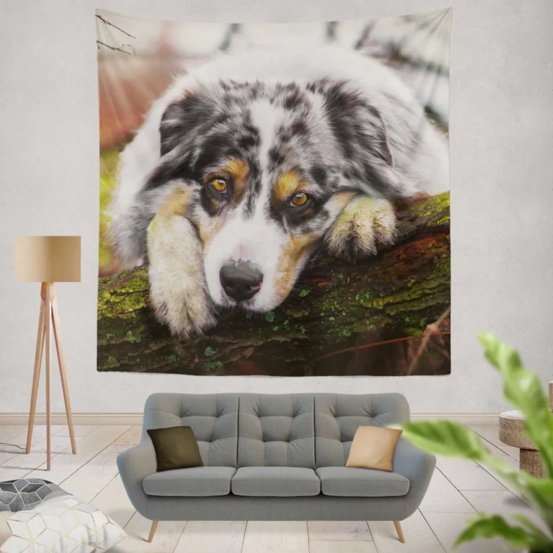 Australian Shepherd Enigmatic Gaze Wall Hanging Tapestry