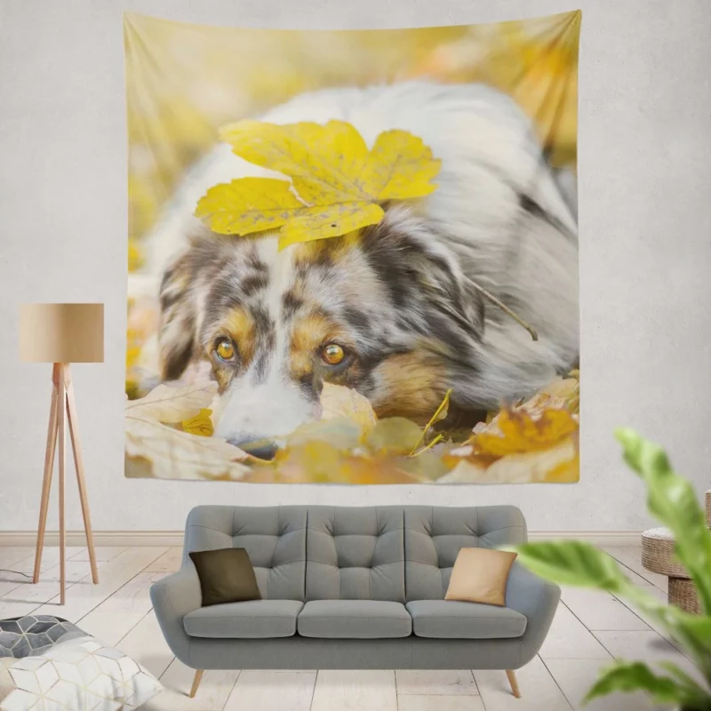 Australian Shepherd Fall Beauty Wall Hanging Tapestry