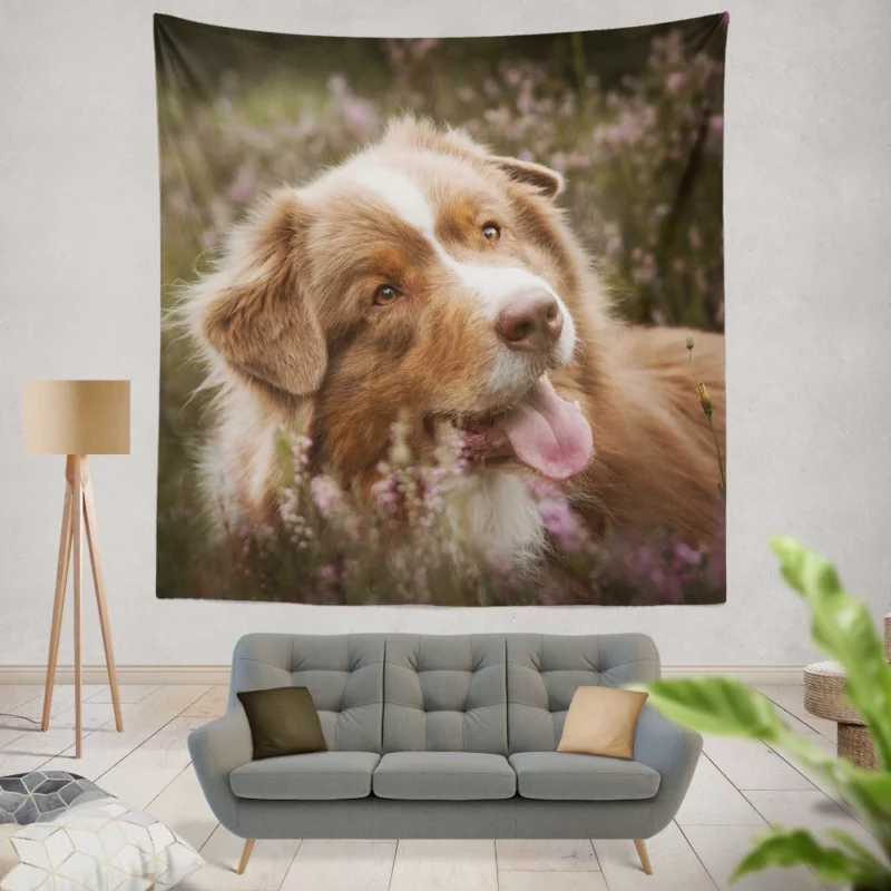 Australian Shepherd Focus Wall Hanging Tapestry