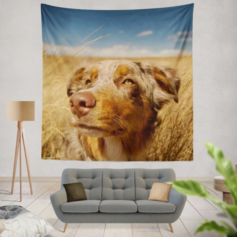 Australian Shepherd Head Canine Majesty Wall Hanging Tapestry