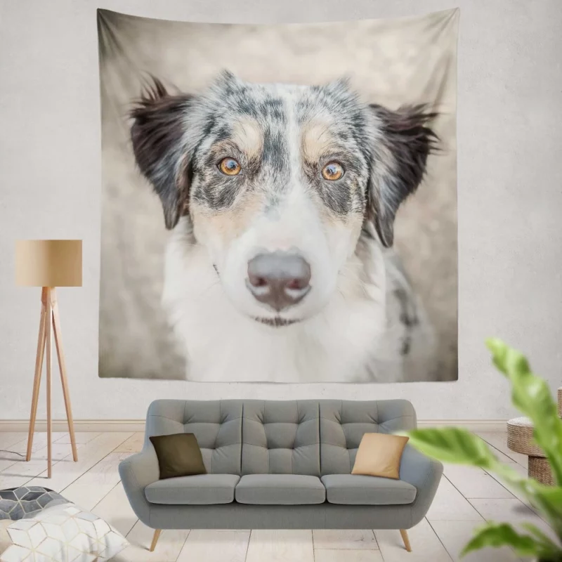 Australian Shepherd Playful Spirit Furry Dynamo Wall Hanging Tapestry