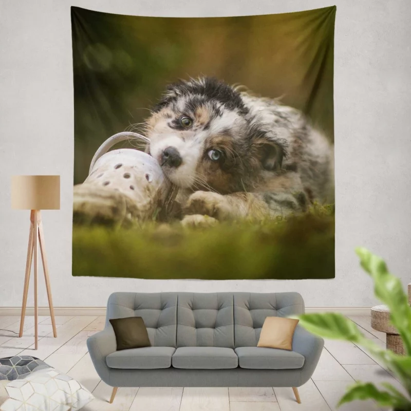 Australian Shepherd Puppy Curious Gaze Wall Hanging Tapestry