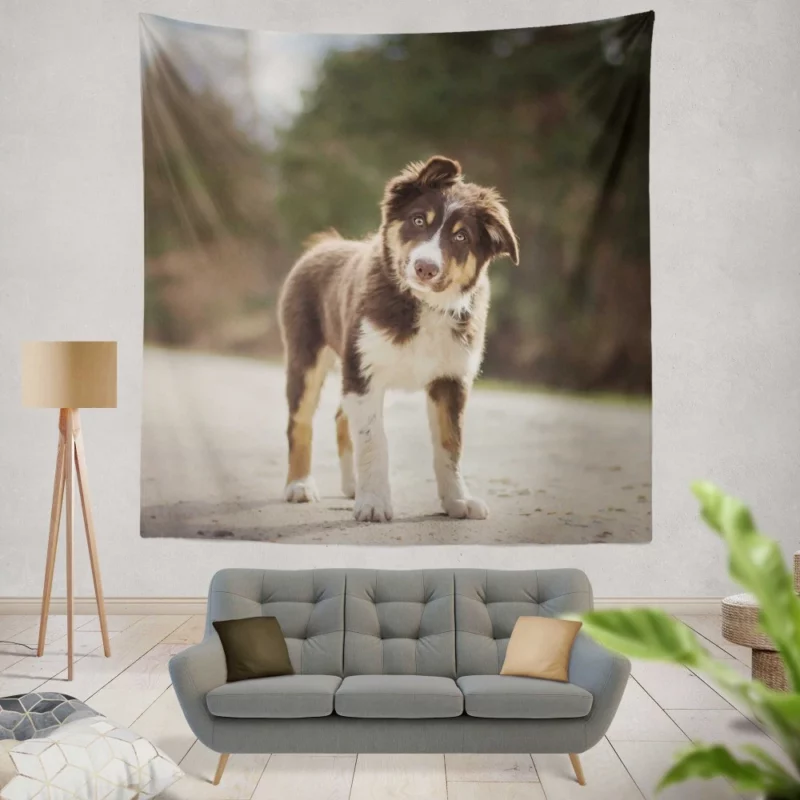 Australian Shepherd Puppy Innocent Stare Wall Hanging Tapestry