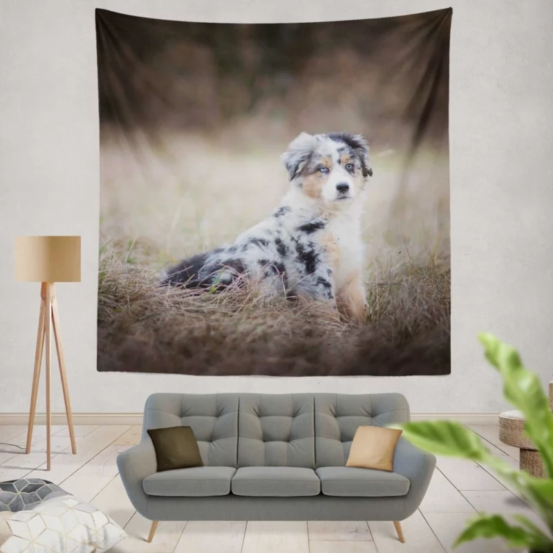 Australian Shepherd Puppy Playful Innocence Wall Hanging Tapestry