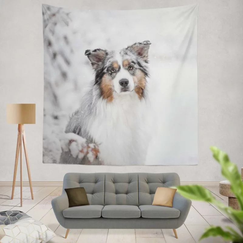 Australian Shepherd Snowy Stare Wall Hanging Tapestry