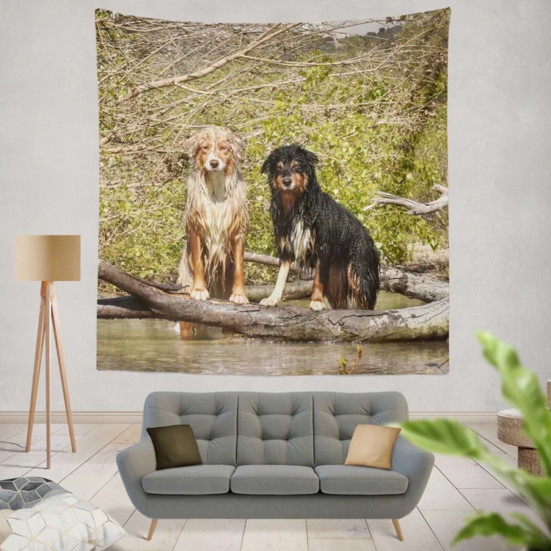 Australian Shepherd Water Stare Wall Hanging Tapestry