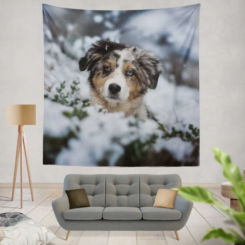 Australian Shepherd Winter Playfulness Wall Hanging Tapestry