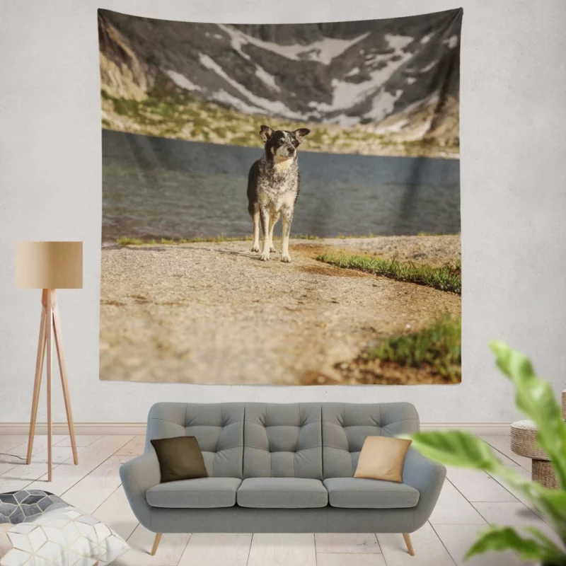 Australian Shepherd by the Lakeside Wall Hanging Tapestry