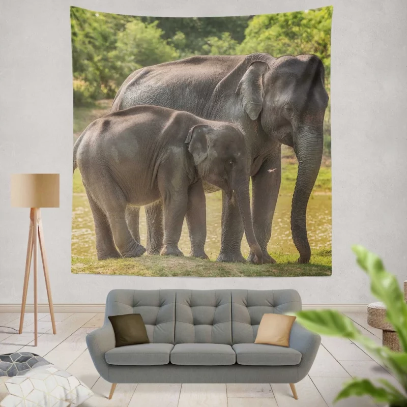 Baby Asian Elephant Wall Hanging Tapestry