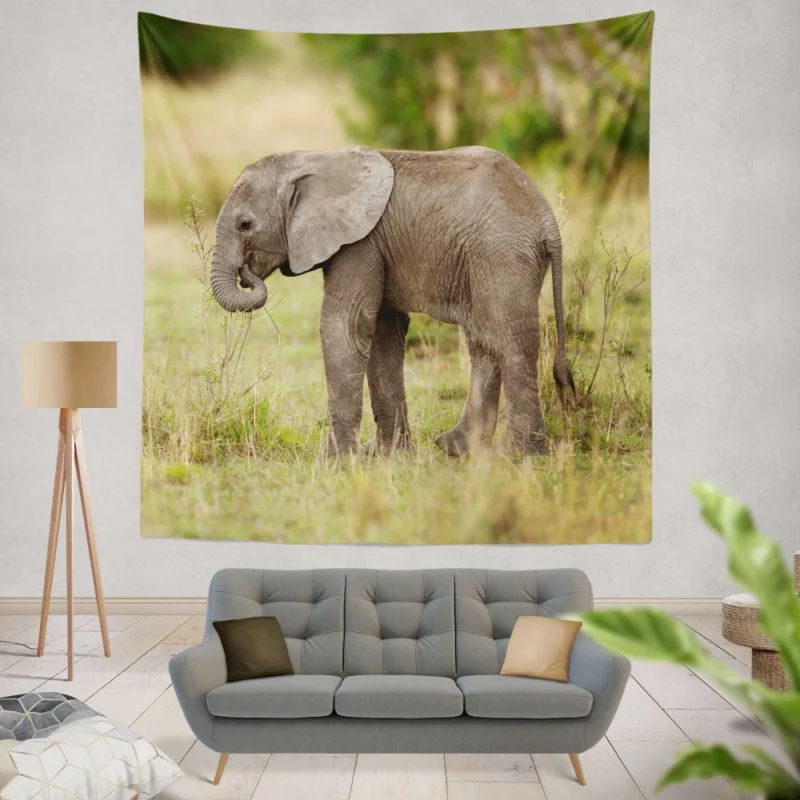 Baby Elephant Enigmatic Innocence Wall Hanging Tapestry