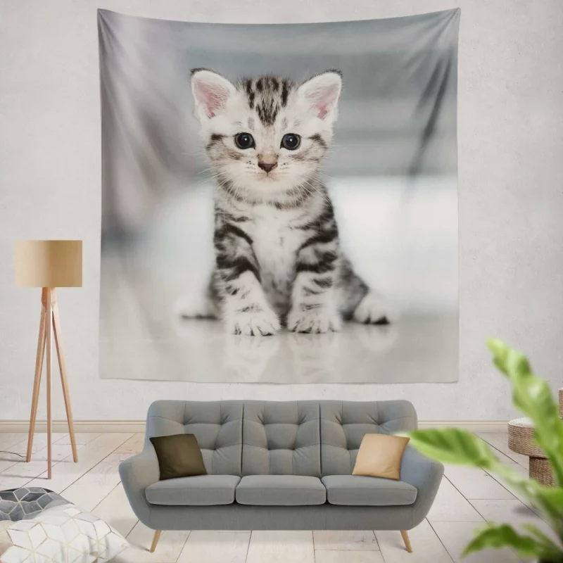 Baby Kitten Enigmatic Essence Wall Hanging Tapestry