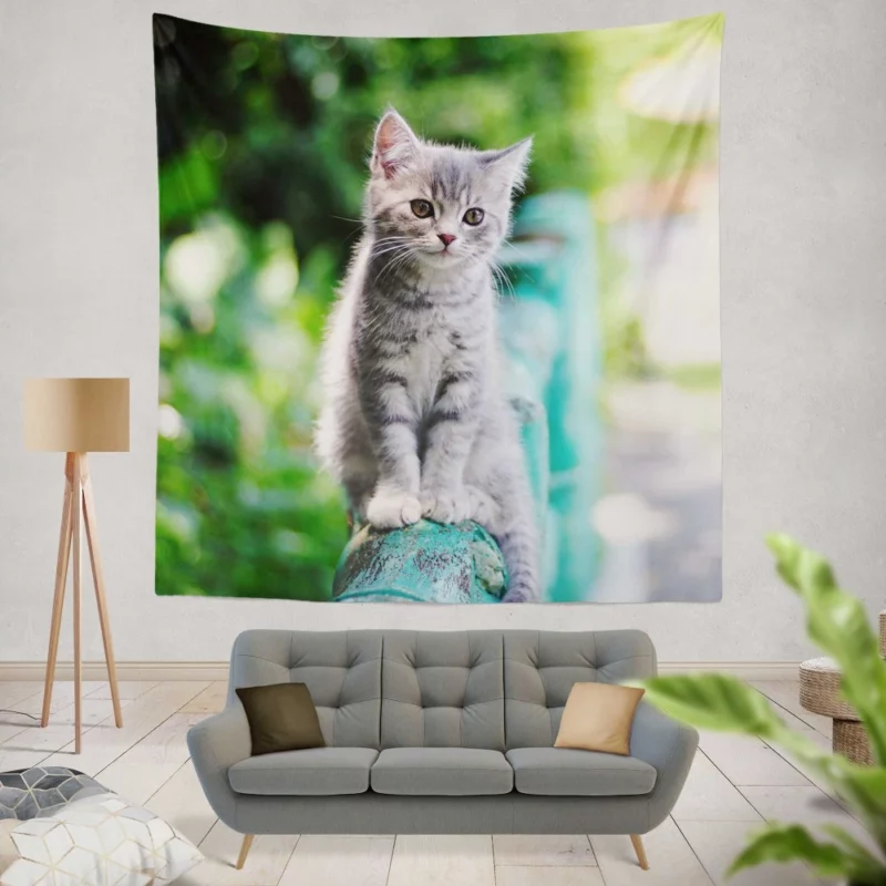 Baby Kitten Fence Perch Wall Hanging Tapestry