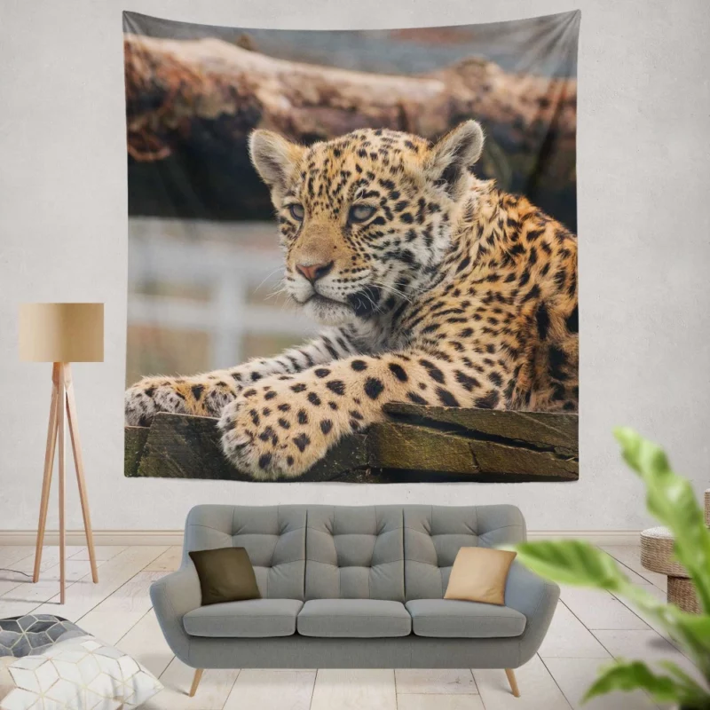 Baby Leopard Fierce Innocence Wall Hanging Tapestry