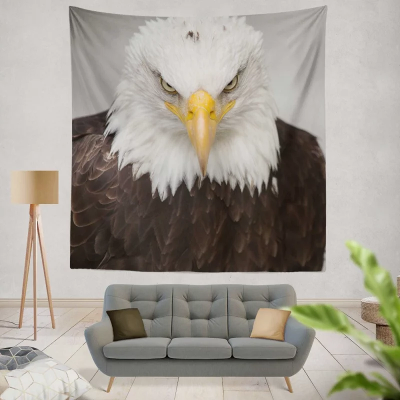 Bald Eagle Fierce Gaze Sky Hunter Wall Hanging Tapestry