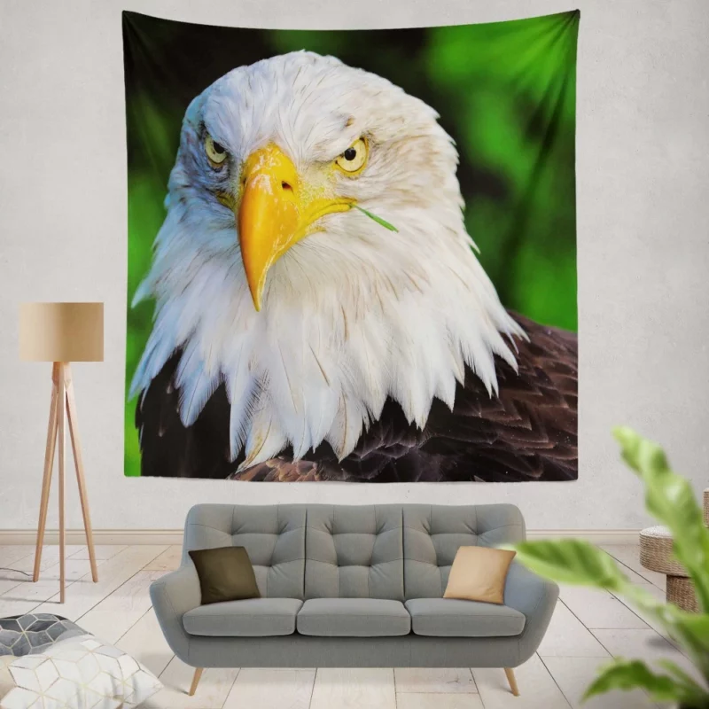 Bald Eagle Fierce Stare Predatory Watch Wall Hanging Tapestry