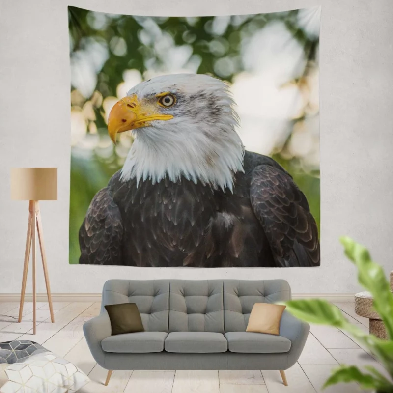 Bald Eagle Majestic Pose Soaring Beauty Wall Hanging Tapestry