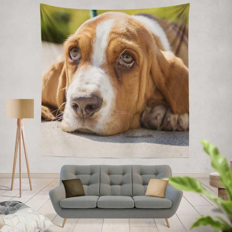 Basset Hound Muzzle Thoughtful Pondering Wall Hanging Tapestry