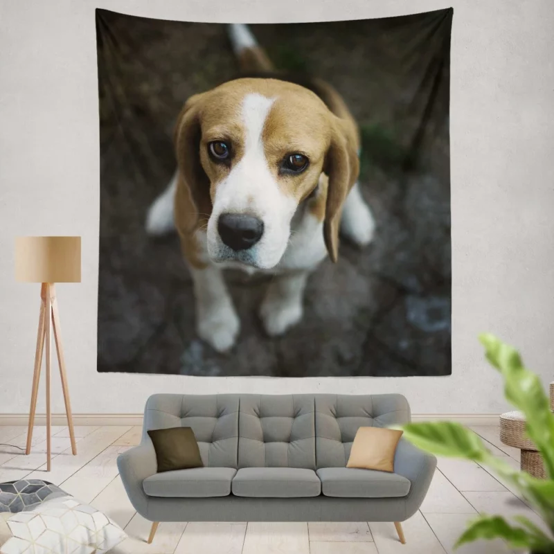 Beagle Innocent Gaze Furry Curiosity Wall Hanging Tapestry