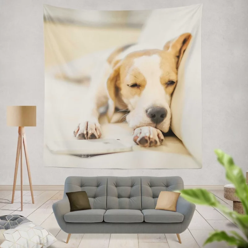 Beagle Muzzle & Cozy Nap Wall Hanging Tapestry