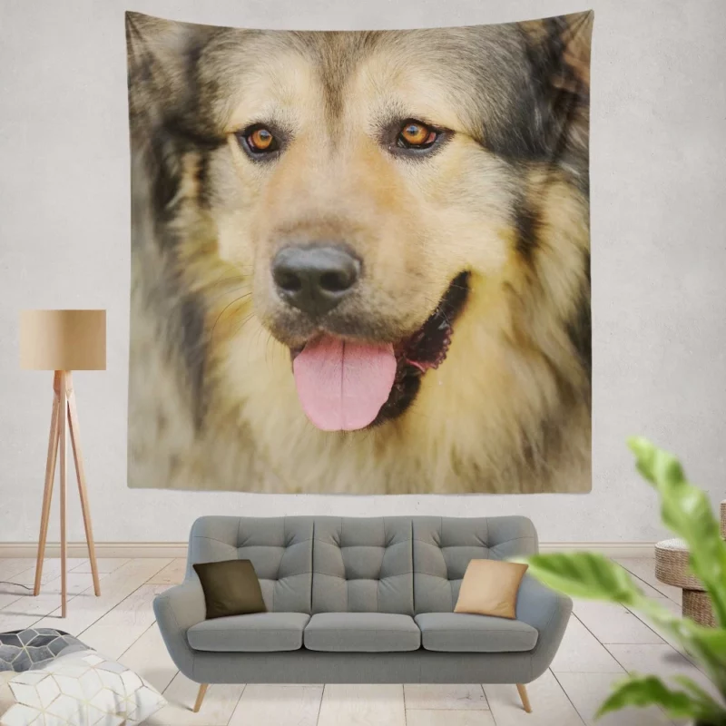 Beautiful Dog Captivating Appeal Wall Hanging Tapestry