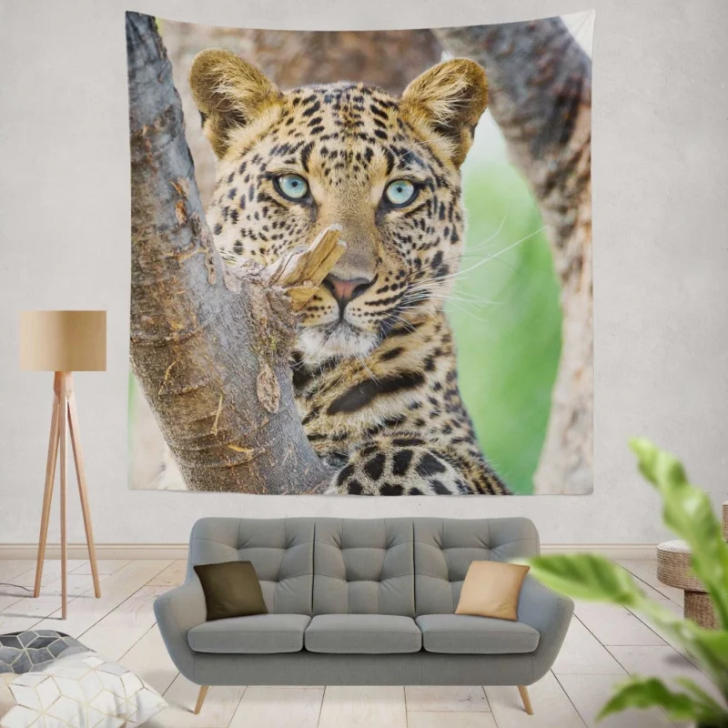 Beautiful Leopard Tree Perch Blue-Eyed Stare Wall Hanging Tapestry