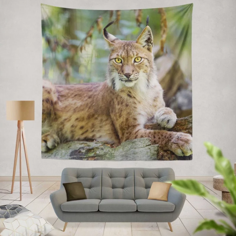 Beautiful Lynx Enigmatic Stare Wall Hanging Tapestry