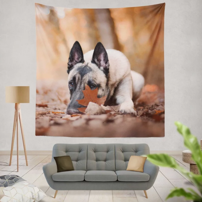 Belgian Malinois Fall Stare Leafy Elegance Wall Hanging Tapestry