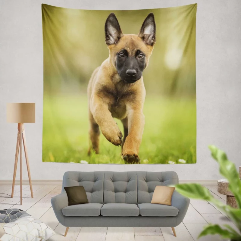 Belgian Malinois Puppy Innocent Joy Wall Hanging Tapestry