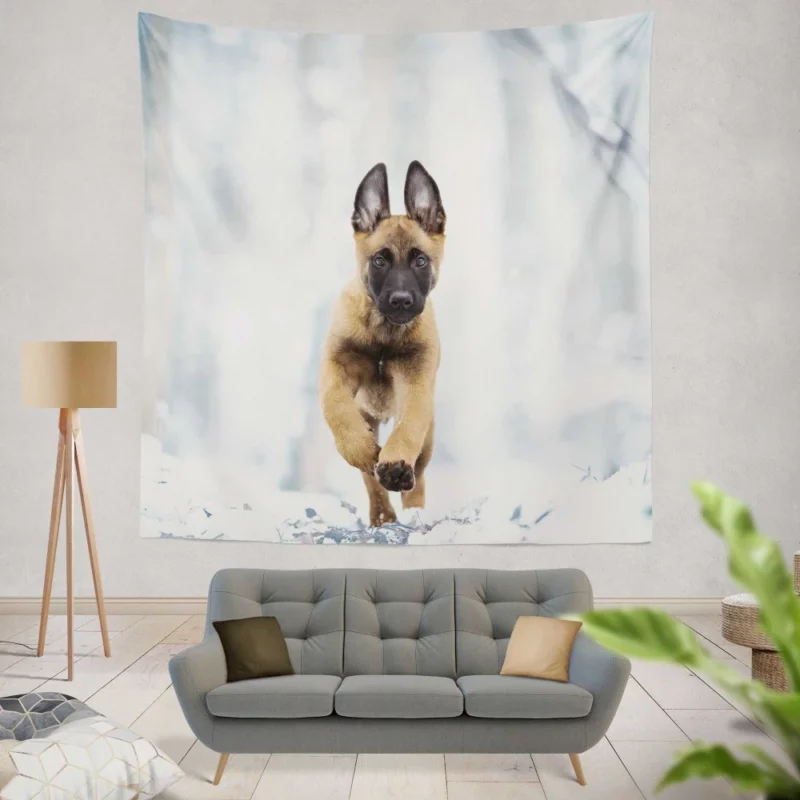 Belgian Malinois Puppy Playful Charm Wall Hanging Tapestry