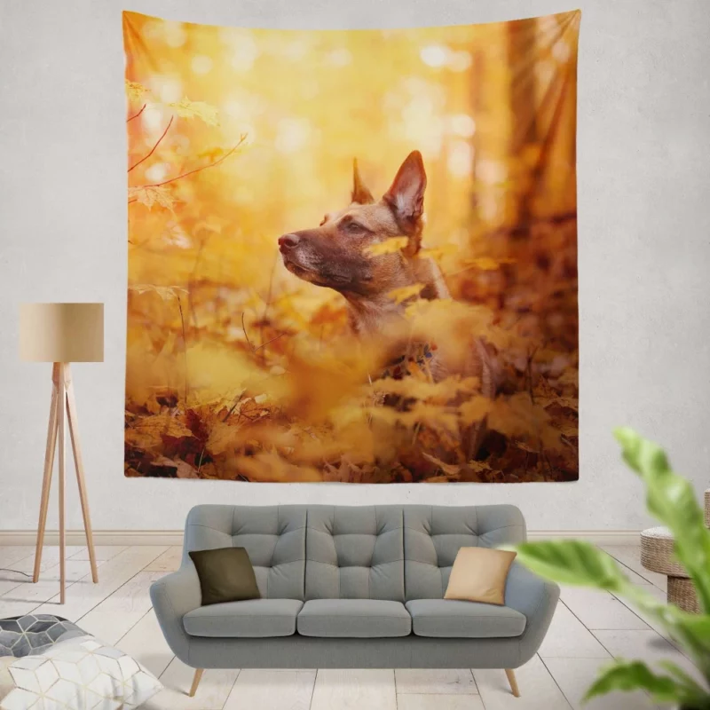 Belgian Malinois in Autumn Furry Elegance Wall Hanging Tapestry