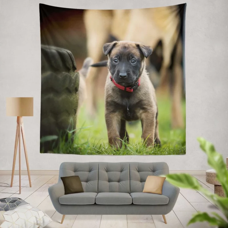 Belgian Shepherd Puppy Innocence Baby Charm Wall Hanging Tapestry