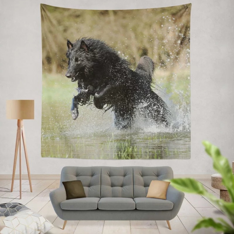 Belgian Shepherd Splash of Playfulness Wall Hanging Tapestry