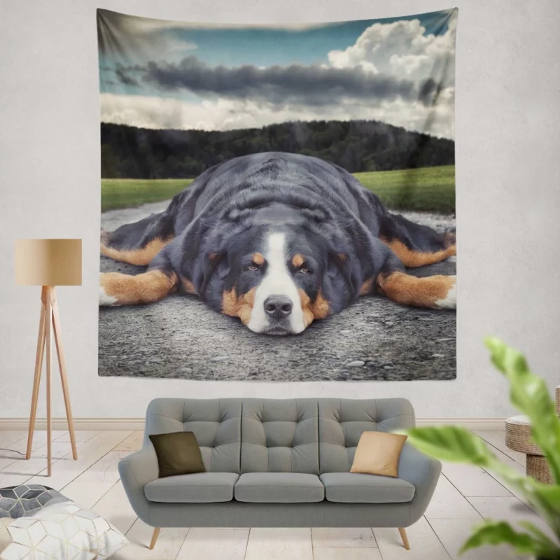 Bernese Mountain Dog Bathtub Bliss Wall Hanging Tapestry