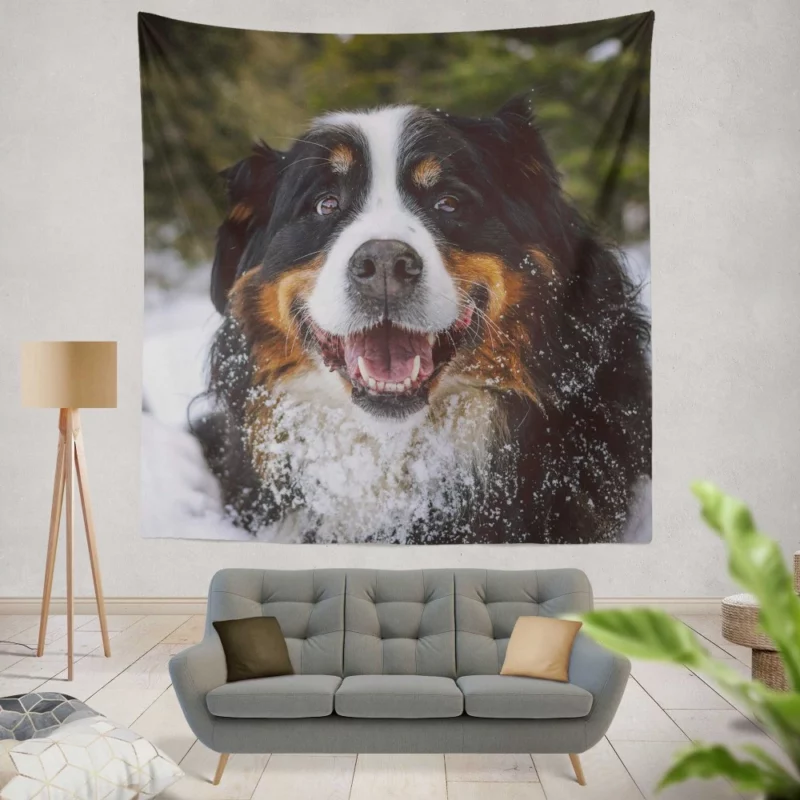 Bernese Mountain Dog Furry Elegance Wall Hanging Tapestry