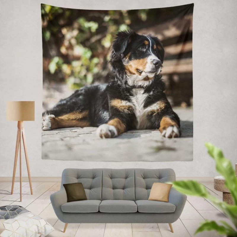 Bernese Mountain Dog Furry Joy Wall Hanging Tapestry