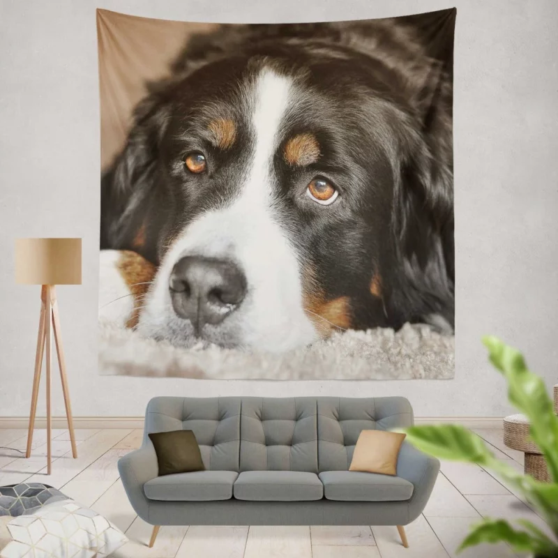 Bernese Mountain Dog Majestic Essence Wall Hanging Tapestry