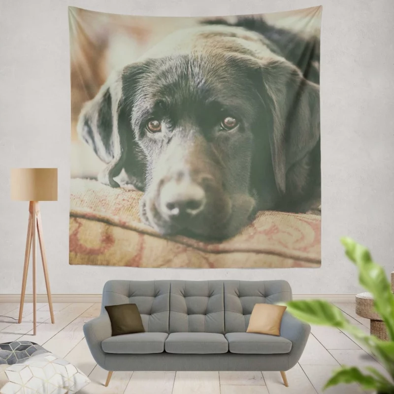 Black Labrador Expressive Face Furry Charm Wall Hanging Tapestry